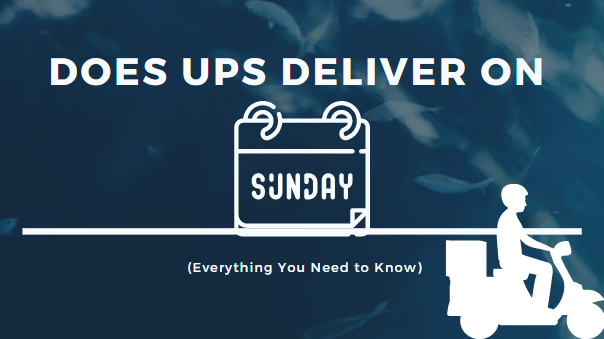 Does UPS Deliver on Sundays? (Everything You Need to Know)